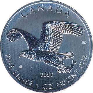 Kanada 2014 - Weikopfseeadler 1 Oz Silber*