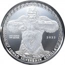 Kongo 2022 - Silberrcken Gorilla*