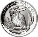 Kookaburra