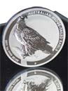 Wedge Tailed Eagle