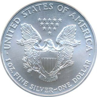 USA 2007 - Silver Eagle 1 Oz Silber*