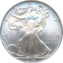 USA 2008 - Silver Eagle 1 Oz Silber*