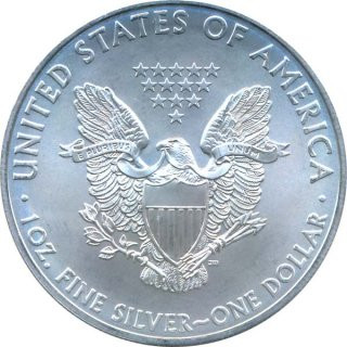 USA 2009 - Silver Eagle 1 Oz Silber*