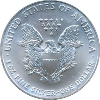 USA 2006 - Silver Eagle 1 Oz Silber*