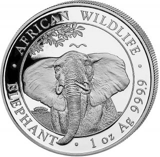 Somalia Republik 2021 - Elefant 1 Oz Silber*