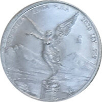 Mexico 2020 - Libertad 9/10 Oz Set Silber*