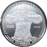Kongo 2022 - Silberr&uuml;cken Gorilla*