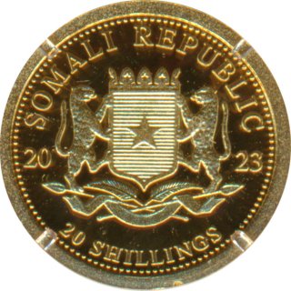 Somalia Republik 2023 - Leopard 0,5 Gramm Gold