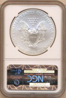 USA 1 Dollar 2011 (S) Silver Eagle eine Unze Silber*