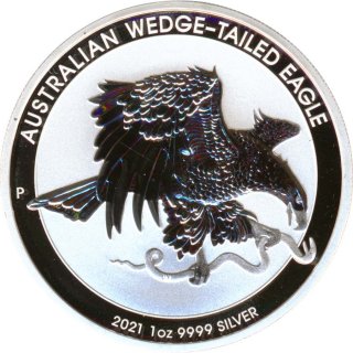 Australien 2021 - Wedge Tailed Eagle*