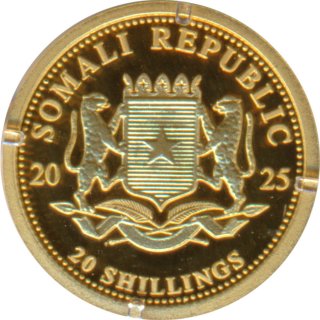 Somalia Republik 2025 - Leopard 0,5 Gramm Gold
