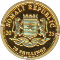 Somalia Republik 2025 - Leopard 0,5 Gramm Gold