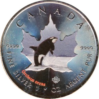 Kanada 2014 - Maple Leaf 1 Oz Silber mit Orca Farbapplikation*
