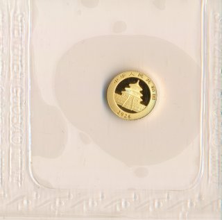 China 2026 - Panda 10 Yuan Gold