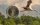Lettland 2 Euro 2015 - Storch in CoinCard*