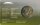Lettland 2 Euro 2015 - Storch in CoinCard*