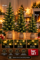 Weihnachtsbaum 3er Set mit LED Beleuchtung