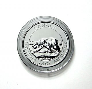 Münzenkapsel für 1,5 Oz Polarbär Kanada 10er Pack